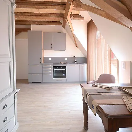 Remise 67 - Historisches Anwesen Beim Maison 1775, Mit Sauna, Wissembourg, Elsass Apartment *