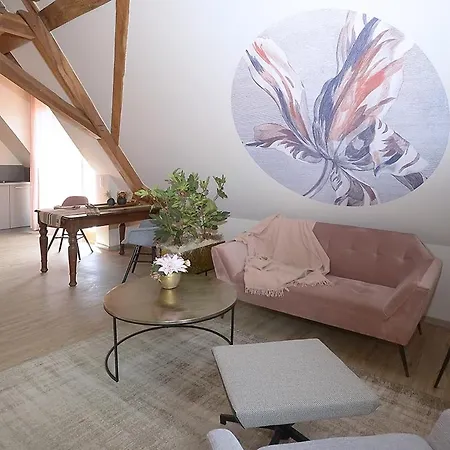 Apartment Remise 67 - Historisches Anwesen Beim Maison 1775, Mit Sauna, Wissembourg, Elsass