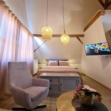 Apartment Remise 67 - Historisches Anwesen Beim Maison 1775, Mit Sauna, Wissembourg, Elsass