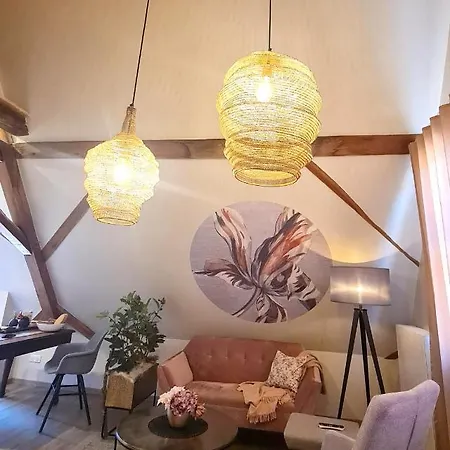 Remise 67 - Historisches Anwesen Beim Maison 1775, Mit Sauna, Wissembourg, Elsass Apartment