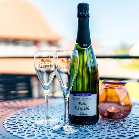 Remise 67 - Historisches Anwesen Beim Maison 1775, Mit Sauna, Wissembourg, Elsass *