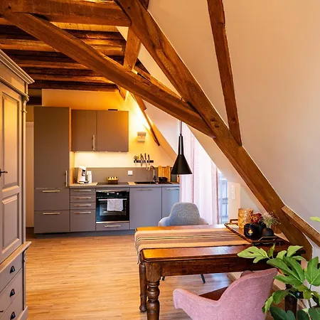 Apartment Remise 67 - Historisches Anwesen Beim Maison 1775, Mit Sauna, Wissembourg, Elsass *