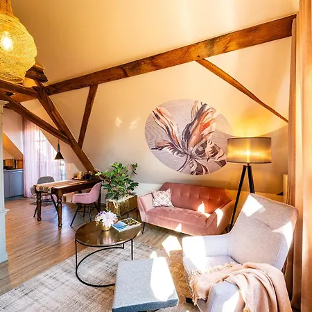 Remise 67 - Historisches Anwesen Beim Maison 1775, Mit Sauna, Wissembourg, Elsass *